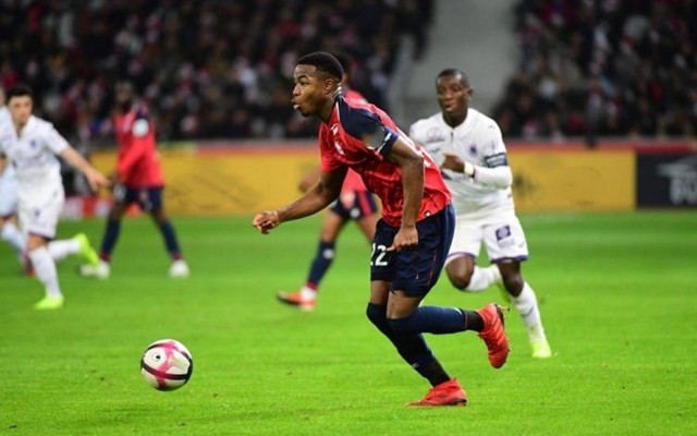 他因此快速 他因此快速