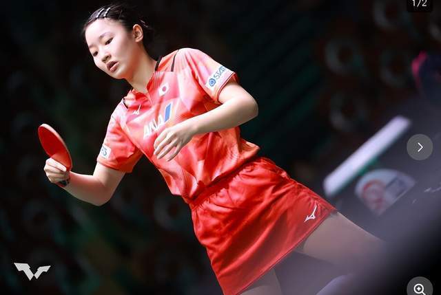 两大风向标 两大风向标